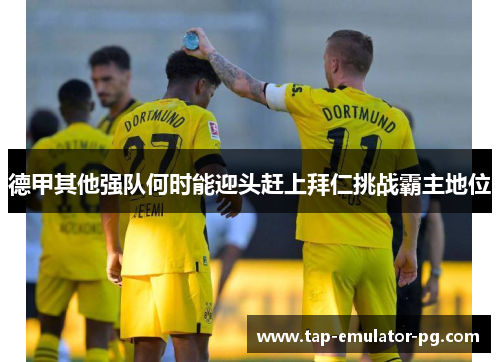 德甲其他强队何时能迎头赶上拜仁挑战霸主地位 德甲其他强队何时能迎头赶上拜仁挑战霸主地位