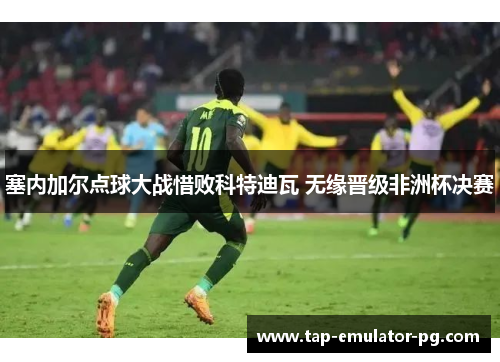 塞内加尔点球大战惜败科特迪瓦 无缘晋级非洲杯决赛